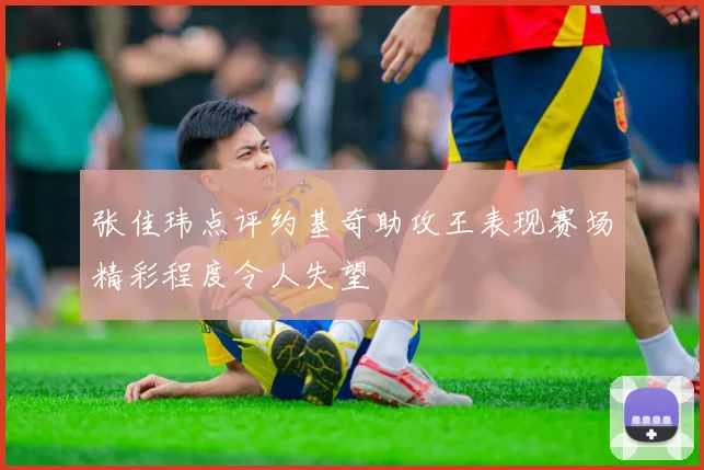 张佳玮点评约基奇助攻王表现赛场精彩程度令人失望