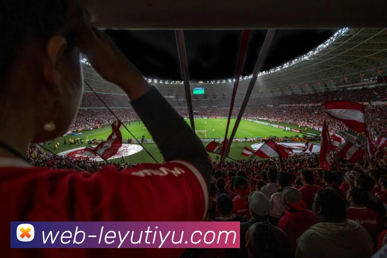 乐鱼体育APP 封面图