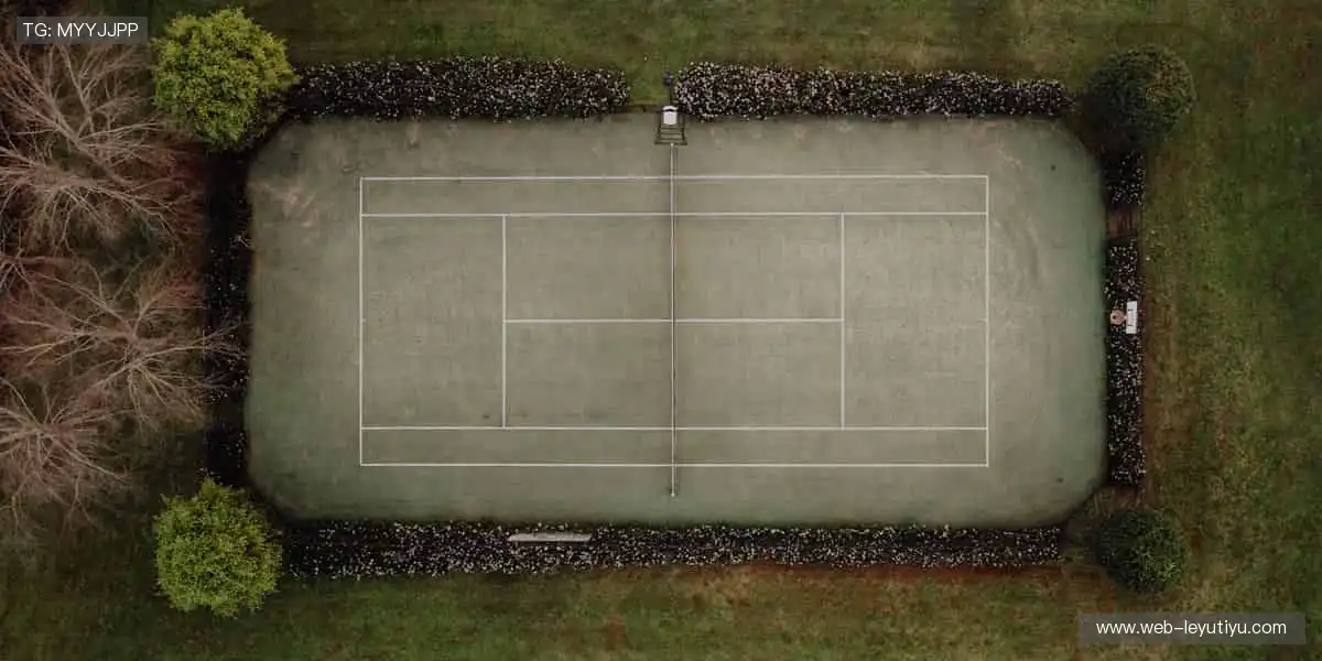 🎉 弹幕、解说、回放，直播乐趣不止于观看！